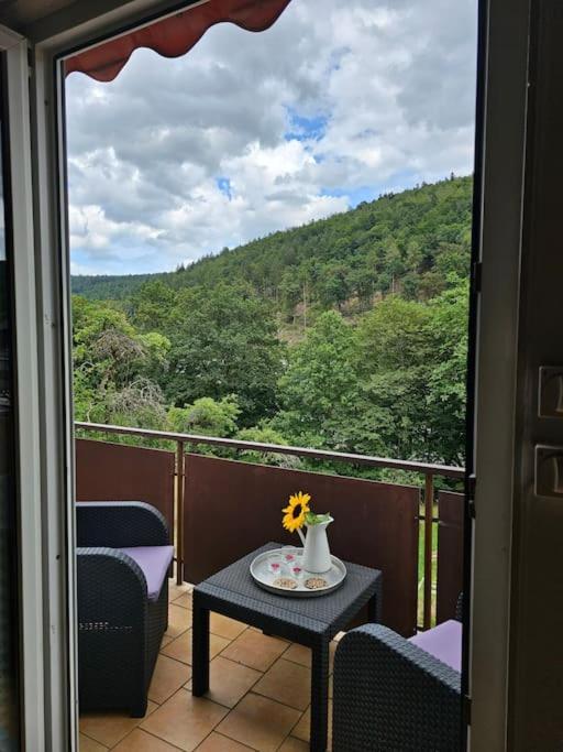 Grosse Ferienwohnung Am Waldrand Schonau  Ngoại thất bức ảnh